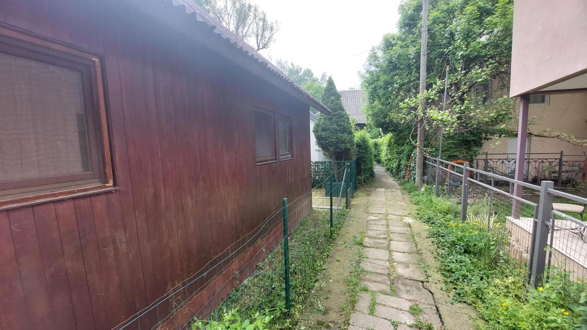 베오그라드 Wooden House Ada 빌라 외부 사진
